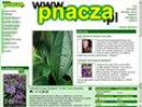 Pnącza w polskiej sieci - Encyklopedia